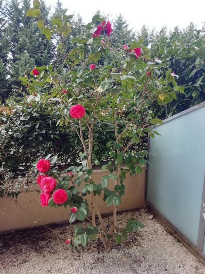 B&B Sant Ilario Μπενεβέντο Εξωτερικό φωτογραφία